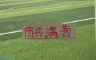 前8轮海港除门将外 几乎凑一套伤病阵容