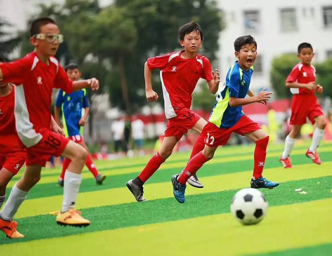 切尔西vs布莱顿直播直播切尔西vs布莱顿