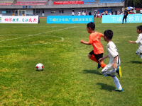 麦克阿瑟FCVS惠灵顿凤凰直播今日足球：惠灵顿凤凰vs麦克阿瑟FC 纽卡斯尔喷气机vs中央海岸水手