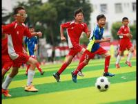 英冠32轮前瞻：伯恩利挑战队史胜场纪录，诺维奇期待提升主场战绩