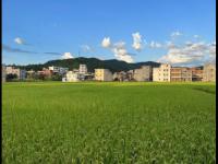尼斯最值得一游的历史景点有哪些？,法国问题,马尔代夫旅游
